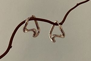 IMG_8301